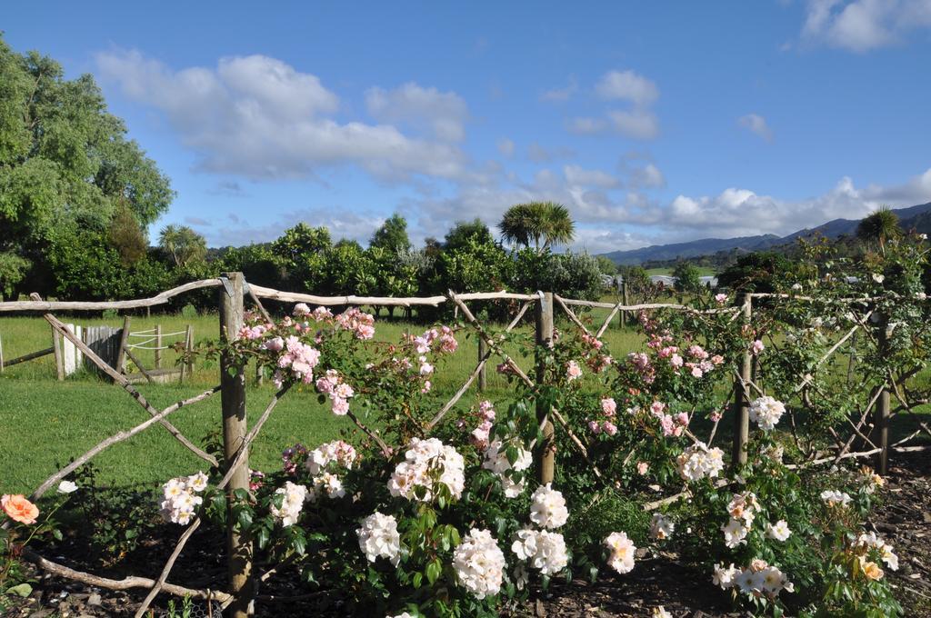 Jacaranda Lodge Coromandel Екстер'єр фото
