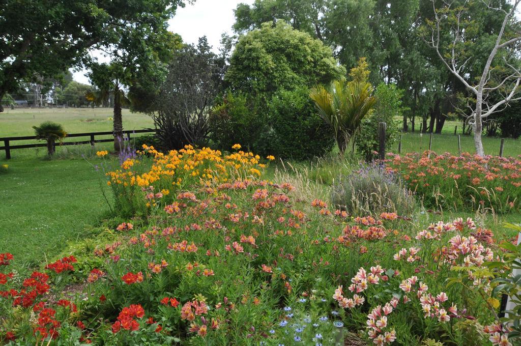 Jacaranda Lodge Coromandel Екстер'єр фото