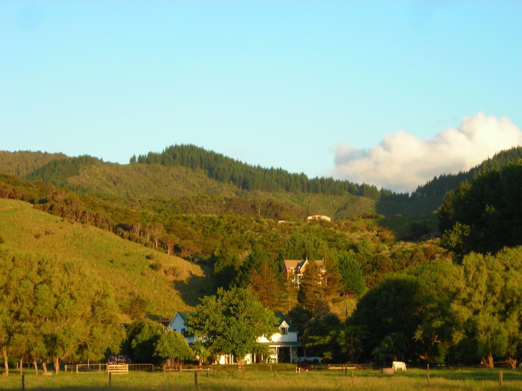 Jacaranda Lodge Coromandel Екстер'єр фото