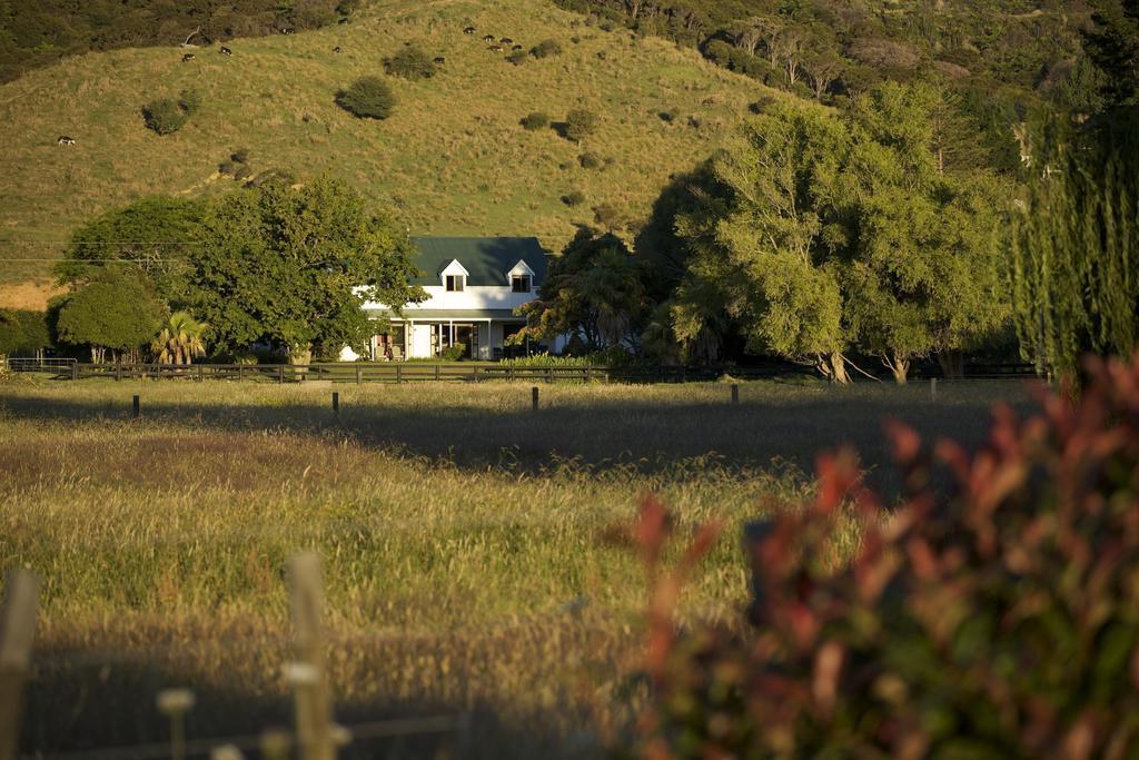 Jacaranda Lodge Coromandel Екстер'єр фото