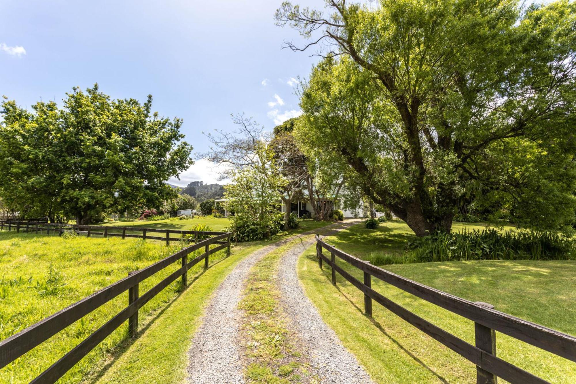 Jacaranda Lodge Coromandel Екстер'єр фото