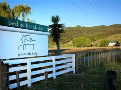 Jacaranda Lodge Coromandel Екстер'єр фото