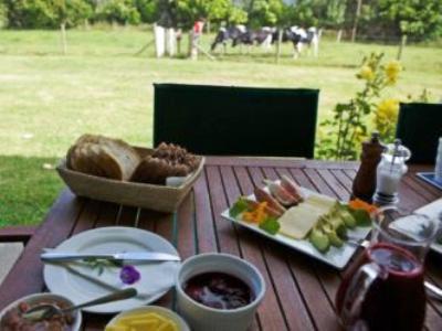 Jacaranda Lodge Coromandel Екстер'єр фото